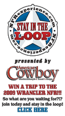 Stay In The Loop