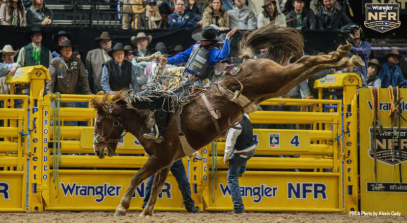 Ryder Wright Stays in Hunt for World Title with Round 8 Victory