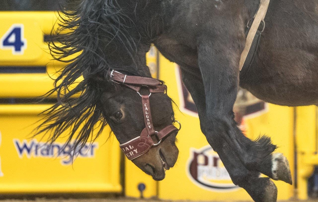 Wrangler NFR - Day 7