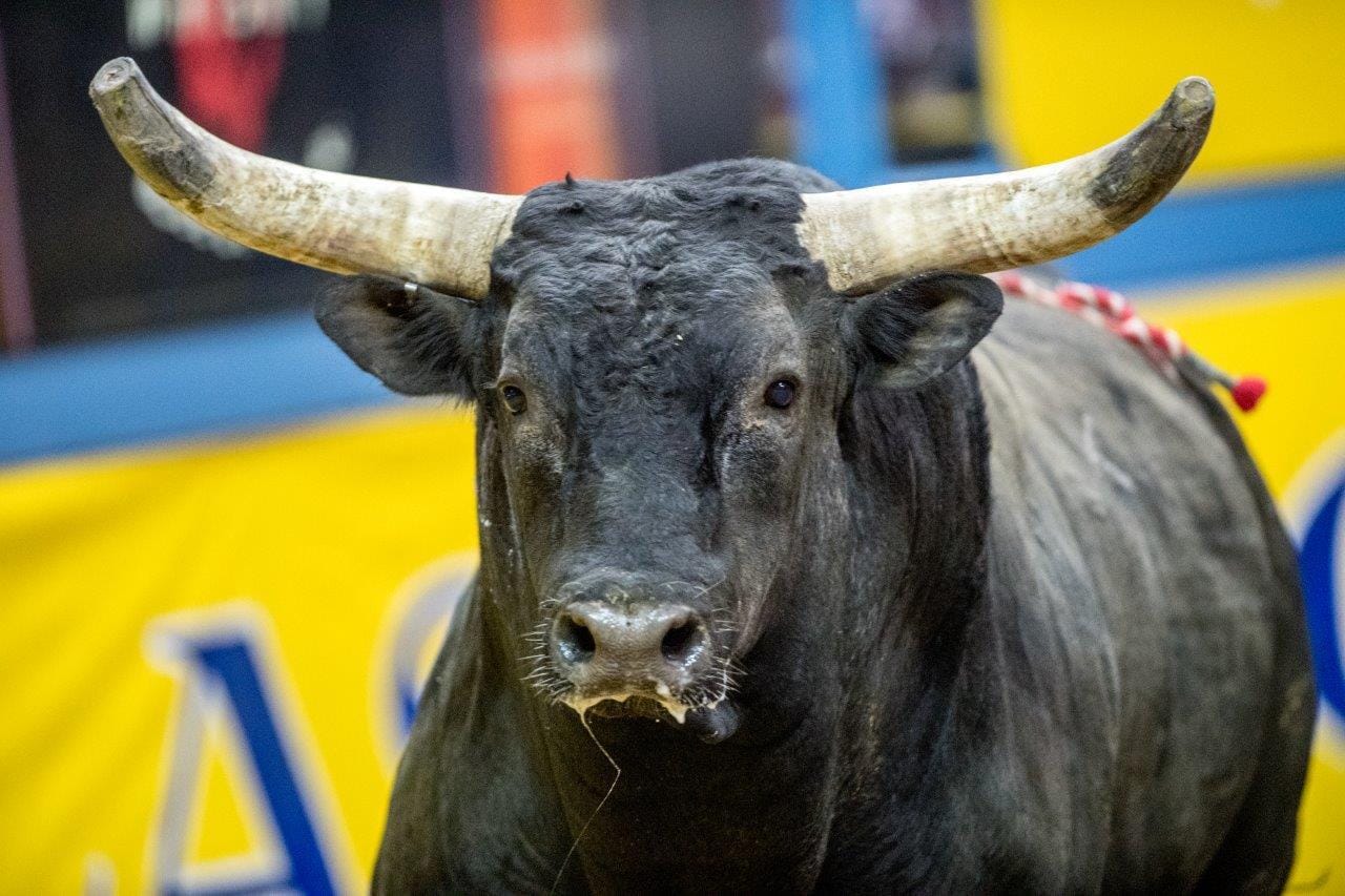 Wrangler NFR - Day 4