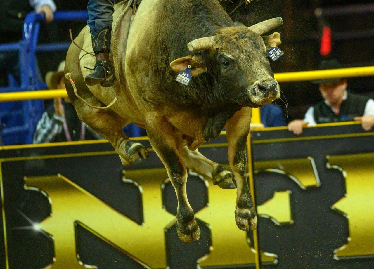 2019 Wrangler NFR Round 8 