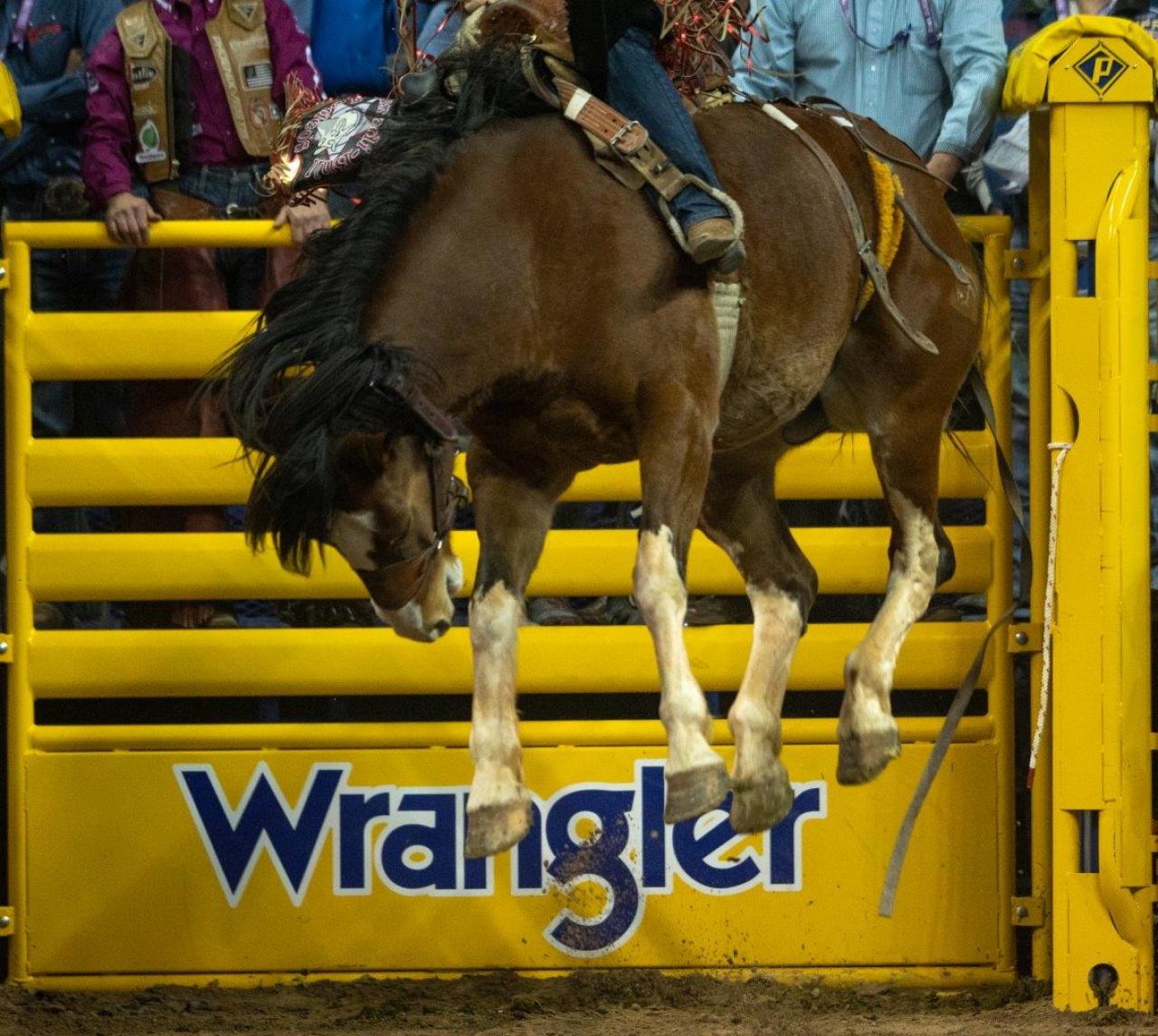 2021 Wrangler NFR Round 3