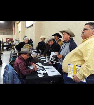 Benny Binion's Bucking Horse Sale