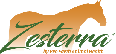 Zesterra