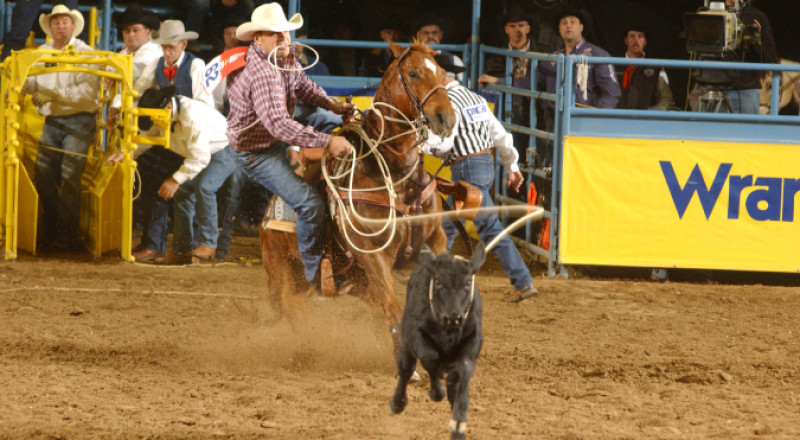 Cody Ohl