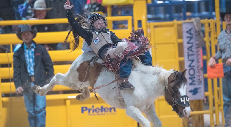 Junior NFR inside the Wrangler Rodeo Arena at Cowboy Christmas Set to Run  for Ten Straight Days of Competition | The Official NFR Experience