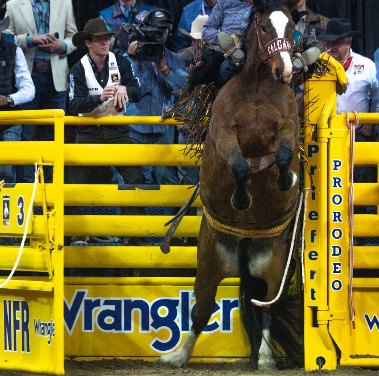 2021 Wrangler NFR Round 3 The Official NFR Experience