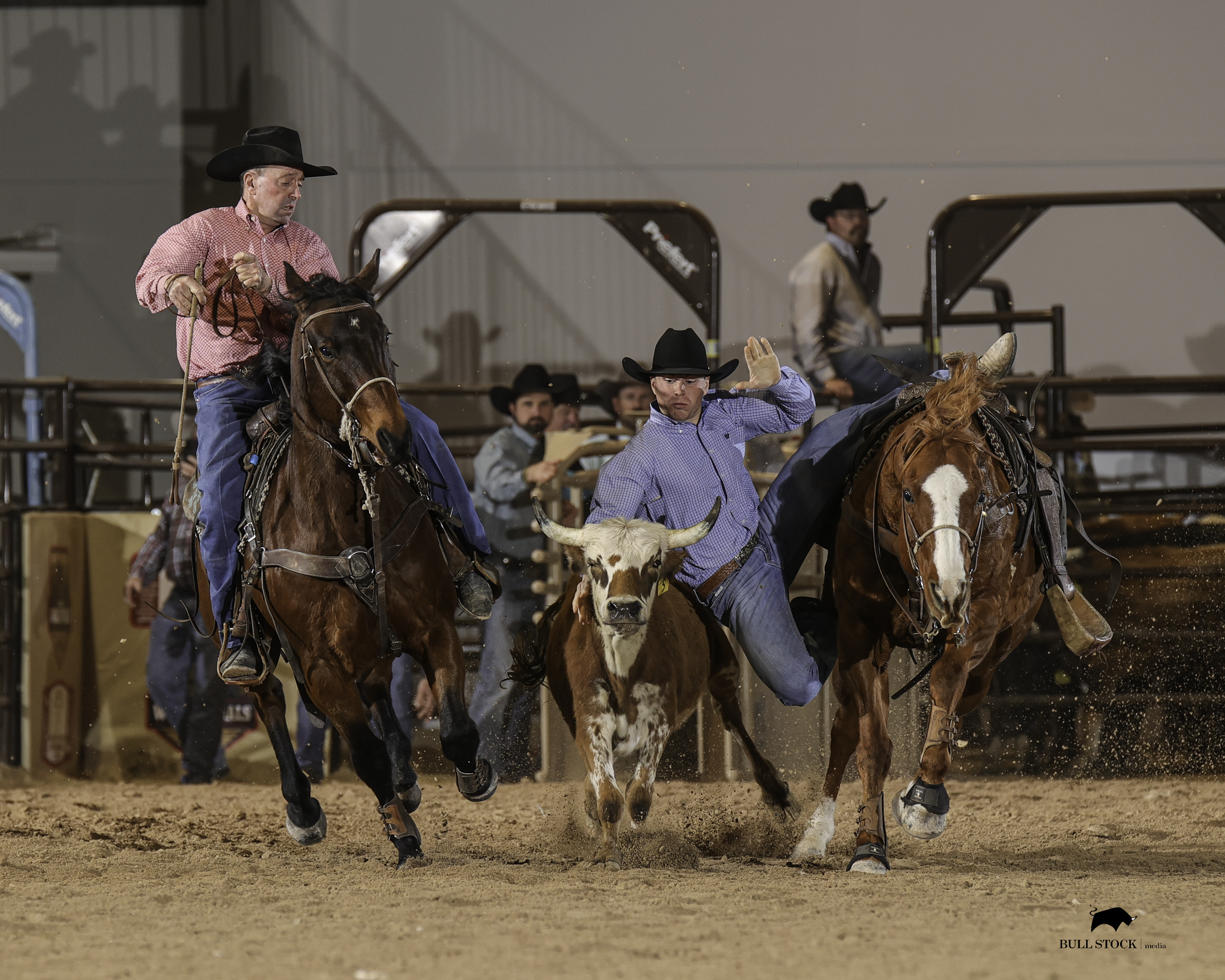 Wrangler Rodeo Arena | Features | Cowboy Christmas