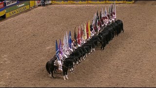 The 2025 #WranglerNFR Round 9 In Arena Entertainment – Sponsor Flags